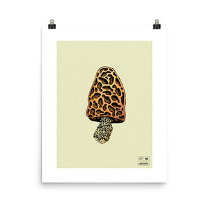 Morel Mushroom Limited Print (1/7)